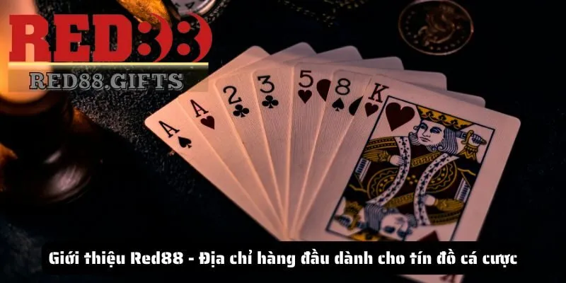 Giới thiệu Red88 - Địa chỉ hàng đầu dành cho tín đồ cá cược - AVION