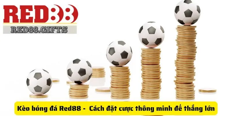 Tin tức - red88.gifts - AVION