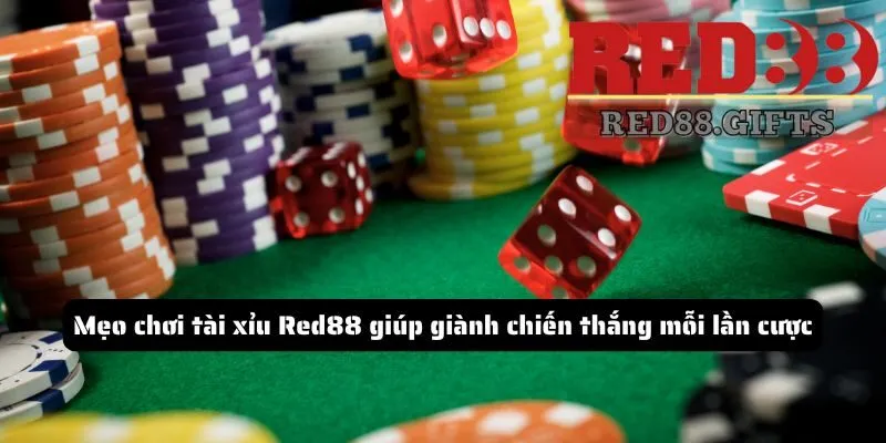 Tin tức - red88.gifts - AVION